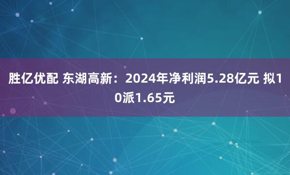 胜亿优配 东湖高新：2024年净利润5.28亿元 拟10派1.65元