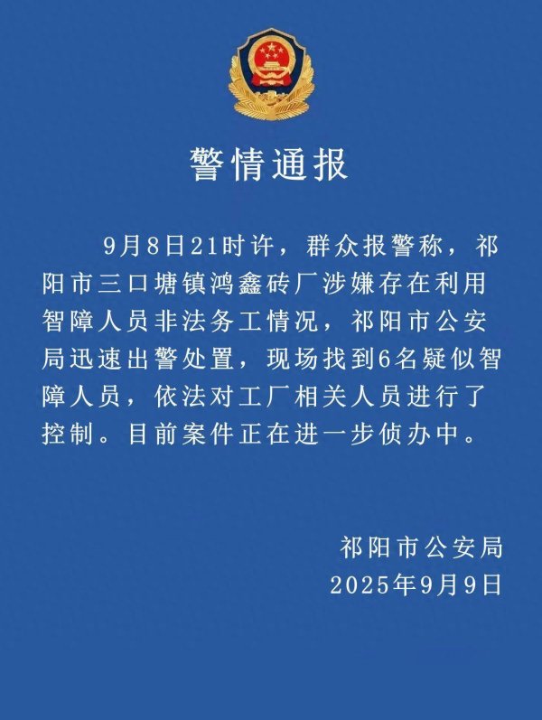 华盈策略 砖厂利用智障人员非法务工，湖南祁阳警方通报：找到6名疑似智障人员